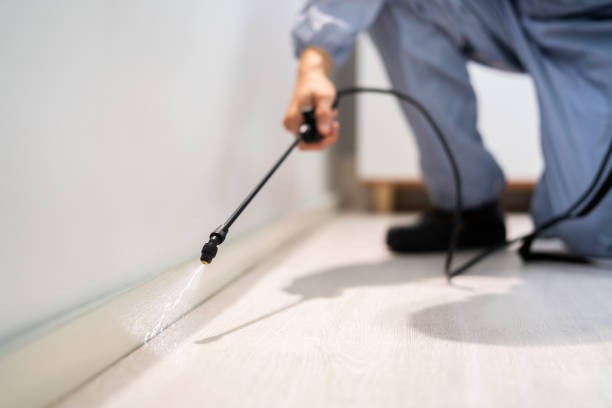 Licensed Pest Control service in Junction City, KS - Show Me Pest Control